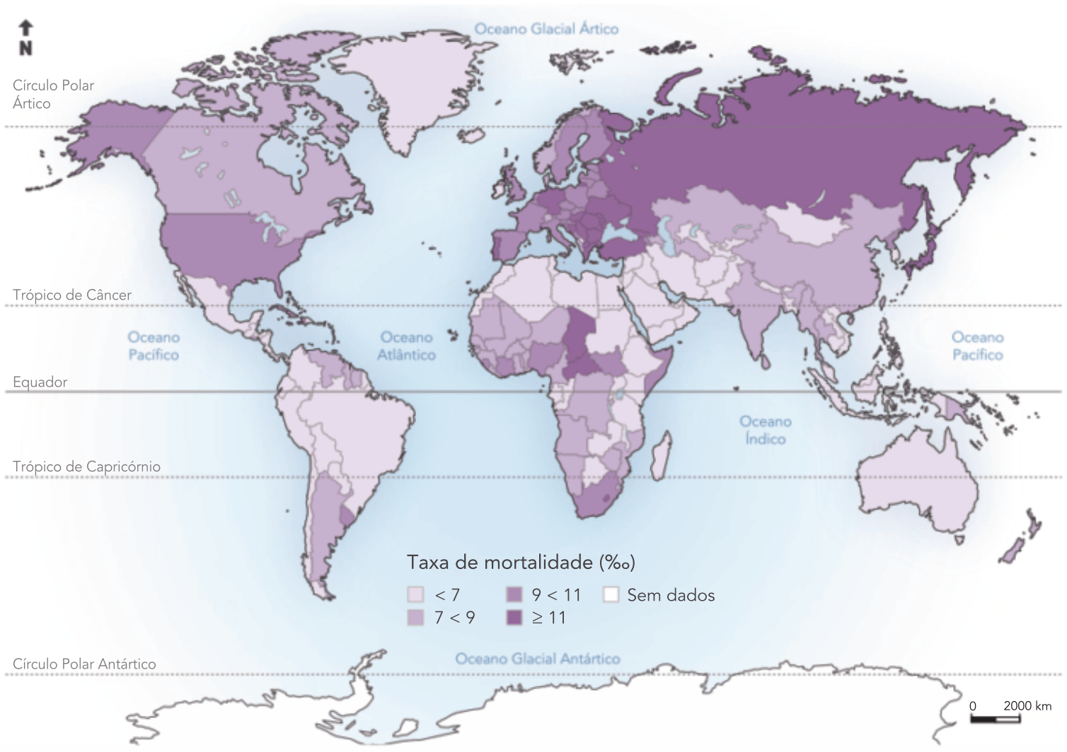 Distribuição mundial da Taxa bruta de mortalidade, em 2020